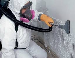 Best Commercial Mold Inspection  in Pensacola, FL